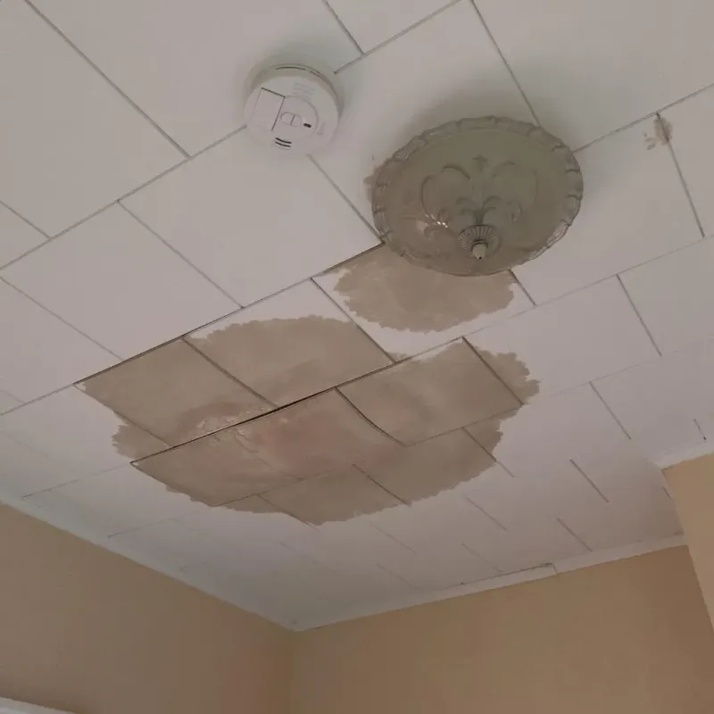 Ceiling Water Damage Repair in Everman, TX