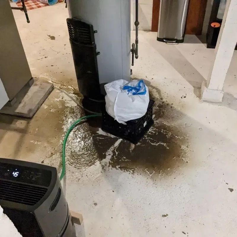 Sewage Backup Cleanup Service in Everman, TX